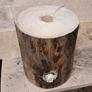 Schwedenfeuer<br>ca. 30 cm hoch